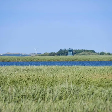 C11364-tarm-skovbrynet-4 بيت للعطل *