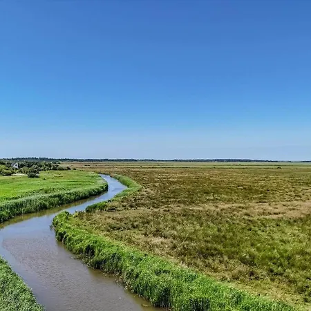 C11364-tarm-skovbrynet-4 * Fjerbæk